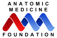 Anatomic Medicine Foundation