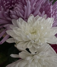 Book an Appointment with Mother's Day Mineral Spa & High Tea for Limited Time Only Services