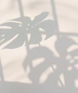 Book an Appointment with Praveena Prakash at Guava Plant Based Spa - Beauty Services & Ayurvedic Treatments