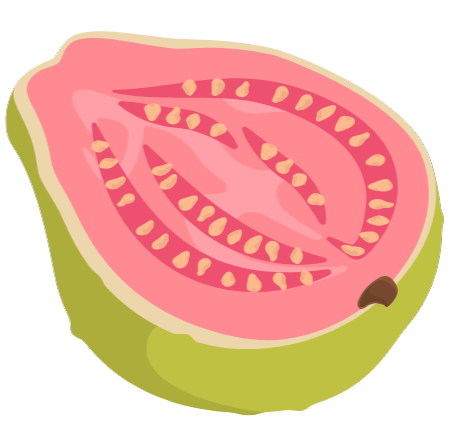 Guava Spa & RMT